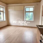 Rent 4 bedroom apartment in Děčín