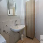 Rent 3 bedroom apartment of 80 m² in Nuremberg