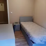 Rent 20 bedroom apartment in Porto