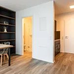 Miete 1 Schlafzimmer wohnung von 25 m² in Tübingen