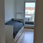 Rent 3 bedroom apartment of 86 m² in Leipzig