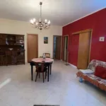 Rent 2 bedroom house of 150 m² in carini