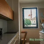 Rent 1 bedroom apartment in Capital City of Prague