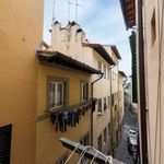 Rent 2 bedroom apartment of 50 m² in Firenze