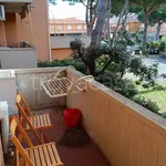 Rent 2 bedroom apartment of 50 m² in Cecina