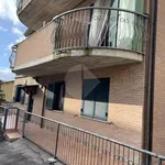 Affitto 3 camera appartamento di 60 m² in Perugia