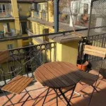 Rent 2 bedroom apartment of 46 m² in Turin