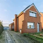 Rent 3 bedroom house in Vorselaar