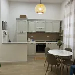 Rent 2 bedroom apartment of 50 m² in Roma