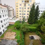 Pronajměte si 1 ložnic/e byt o rozloze 55 m² v Brno