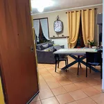 Rent 3 bedroom apartment of 70 m² in Busca