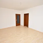 Rent 2 bedroom apartment of 58 m² in Chemnitz