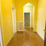 Rent 3 bedroom apartment of 70 m² in Biella