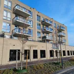 Rent 1 bedroom apartment of 80 m² in Gorinchem