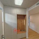 Rent 5 bedroom apartment of 181 m² in Brno