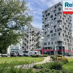 Pronajměte si 3 ložnic/e byt o rozloze 65 m² v Liberec