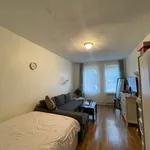 Rent 3 bedroom apartment in Midwood