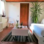 Rent 1 bedroom apartment in Florence