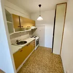 Rent 2 bedroom apartment in Kolín