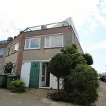 Rent 4 bedroom house of 105 m² in Rotterdam