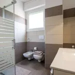 Rent 1 bedroom apartment in milan