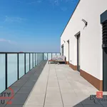 Rent 2 bedroom apartment of 66 m² in Pilsen