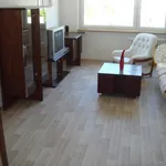 Rent 1 bedroom apartment of 48 m² in Brno