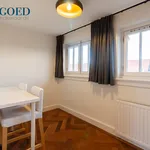 Rent 5 bedroom apartment of 130 m² in Stadionbuurt