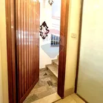 Rent 1 bedroom apartment of 23 m² in Firenze