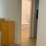 Rent 4 bedroom apartment of 80 m² in Bologna