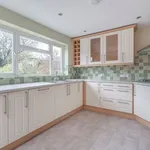 Rent 4 bedroom house in Winchester