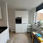 Rent 3 bedroom house of 146 m² in Eindhoven