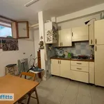 Rent 2 bedroom apartment of 50 m² in Pisa