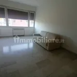 Rent 3 bedroom apartment of 75 m² in Bologna