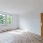 Rent 3 bedroom apartment of 59 m² in Chemnitz