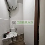 Rent 1 bedroom apartment in České Budějovice