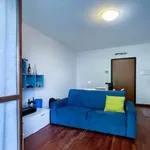 Rent 2 bedroom apartment of 58 m² in Milan