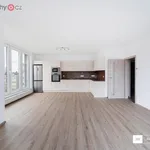 Rent 3 bedroom apartment of 98 m² in Trhový Štěpánov