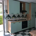 Rent 4 bedroom apartment of 150 m² in Rome