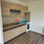 Rent 1 bedroom apartment in Ostrava