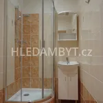 Rent 2 bedroom apartment of 43 m² in Capital City of Prague