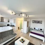 Rent 1 bedroom apartment of 39 m² in Frankfurt