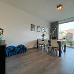 Rent 3 bedroom house in Aalst