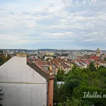 Rent 2 bedroom apartment in Brno