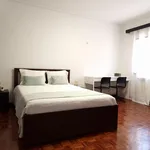 Rent 4 bedroom apartment in Coimbra