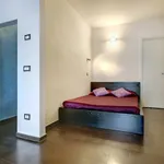 Rent 1 bedroom apartment of 55 m² in Florence