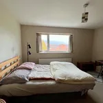 Rent 1 bedroom house in West Midlands