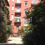 Rent 1 bedroom apartment of 22 m² in Milano