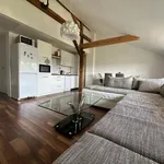 Pronajměte si 1 ložnic/e byt o rozloze 56 m² v Prague