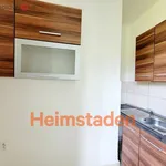 Rent 1 bedroom apartment of 21 m² in Trhový Štěpánov